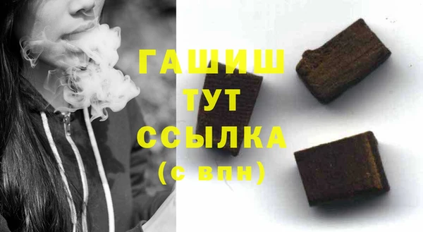 СК Алексин