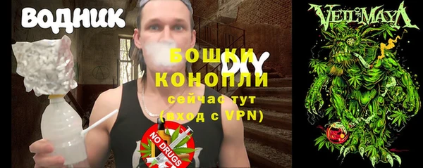 ПСИЛОЦИБИНОВЫЕ ГРИБЫ Алзамай
