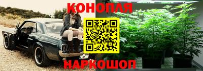 ГАЛЛЮЦИНОГЕННЫЕ ГРИБЫ Краснокаменск