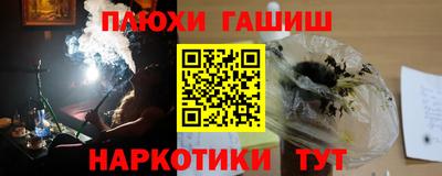 индика Краснознаменск
