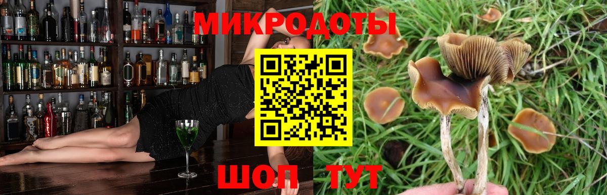 Псилоцибиновые грибы мицелий  Вход с VPN  купить наркотик  Ипатово  Псилоцибиновые грибы прущие грибы 